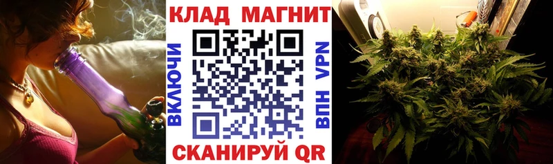Магазины продажи наркотиков Шенкурск Бошки Шишки  Alpha PVP  МДМА  Гашиш  Меф мяу мяу  Cocaine 