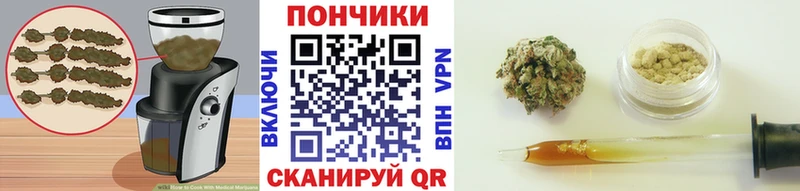darknet официальный сайт  Шенкурск  Cannafood марихуана  где продают  