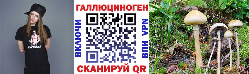 Галлюциногенные грибы мицелий это Telegram Шенкурск kraken ТОР